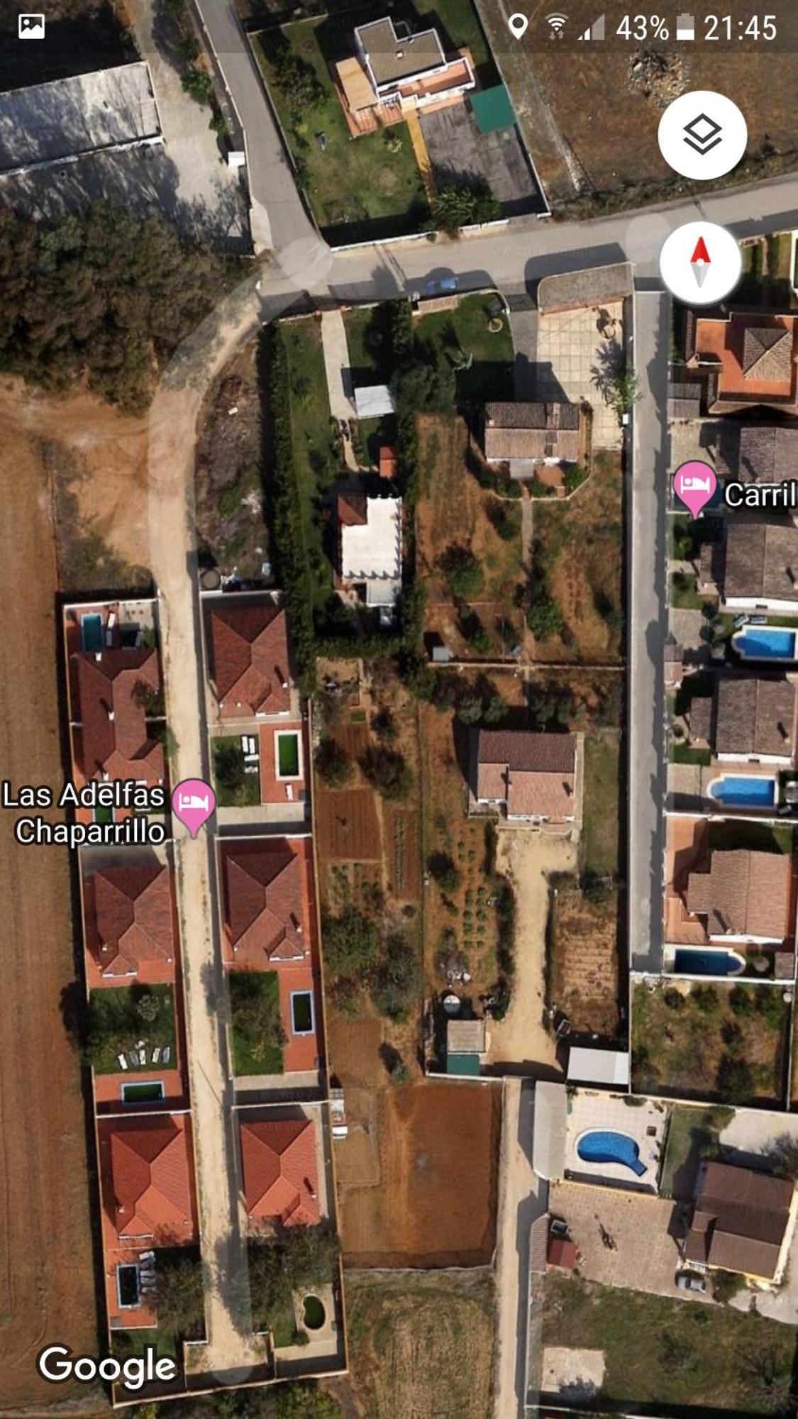 Adelfas Chaparrillo